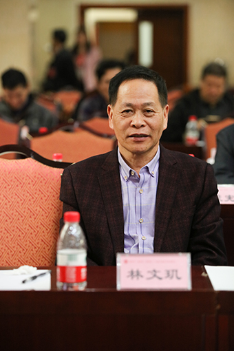 林文玑峰会现场.JPG