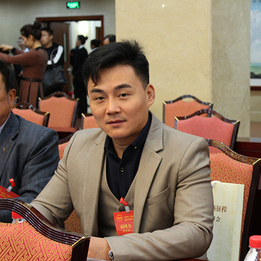袁国力峰会现场.JPG