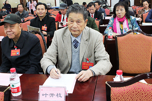 1547877017631018.jpg 叶开枝老师在峰会现场.jpg