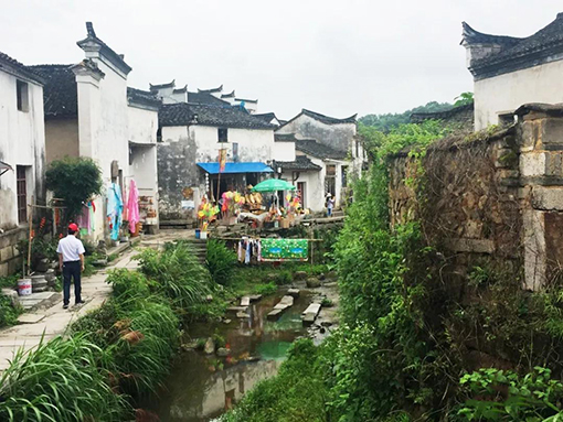 徽派传统建筑将为乡村振兴提供不竭的动力 倪熊 摄.jpg