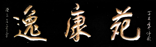 杨敬国作品10.jpg
