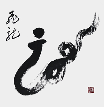 《飞龙》.jpg