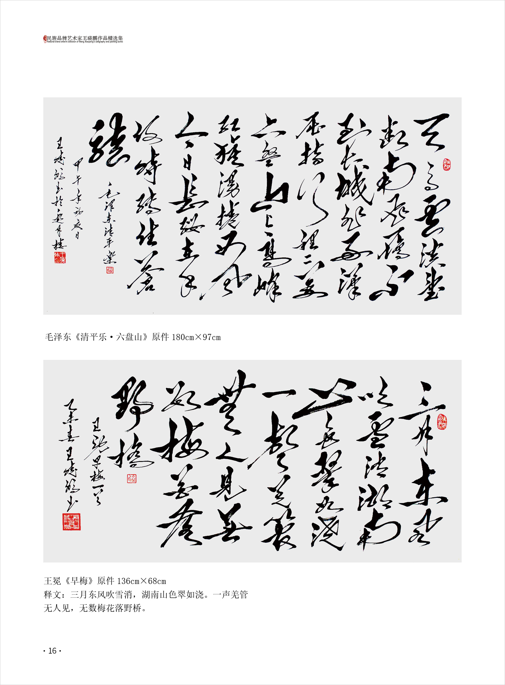 王晓鹏16.jpg