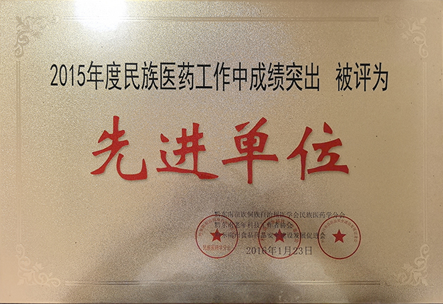 被评为2015年度民族医药先进单位.jpg