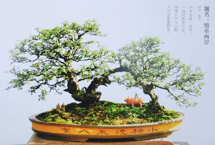 胡庆魁作品《情牵两岸》.jpg