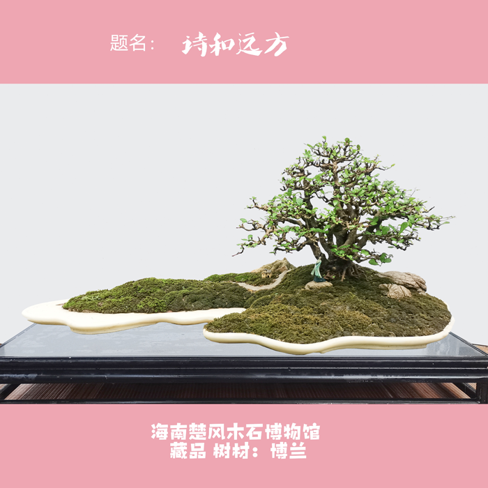 胡庆魁作品《诗和远方》.png