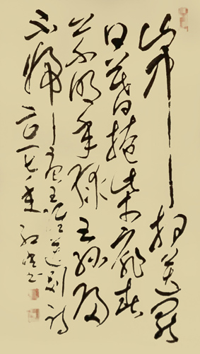 苑红年作品10