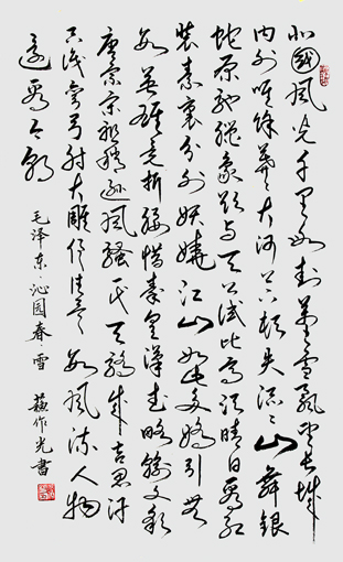 苏作光作品8