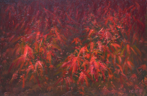 《秋韵》 《秋韵》