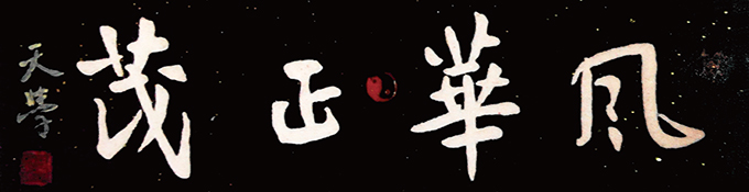 《风华正茂》 《风华正茂》