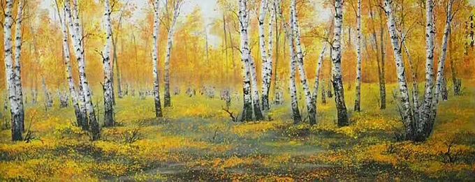 《金玉年华》 《金玉年华》