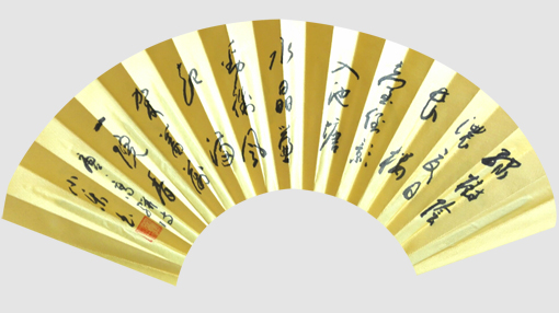 白小乐作品6本 白小乐作品6本