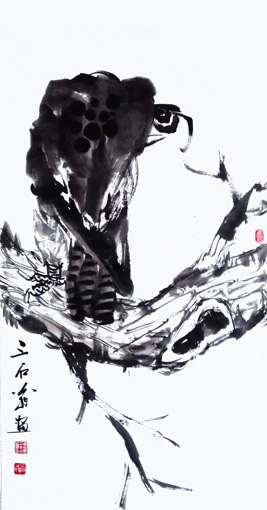 舒先惠作品-猛禽 舒先惠作品-猛禽